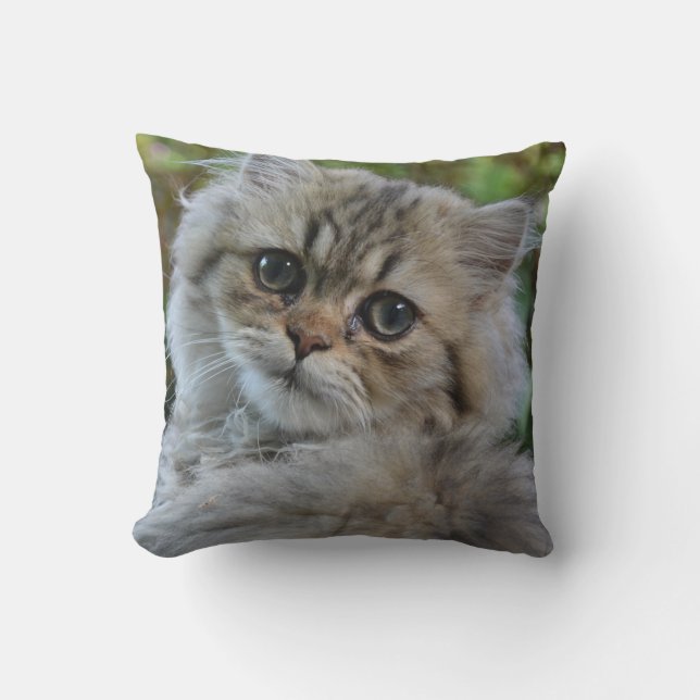 Pretty Persian Kitten Throw Pillow (Front)