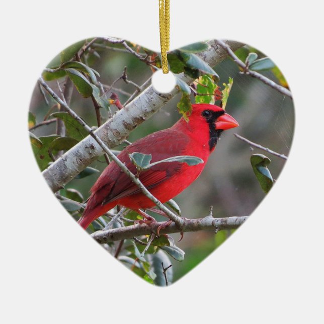 Pretty Personalized Cardinal Heart ornament (Front)