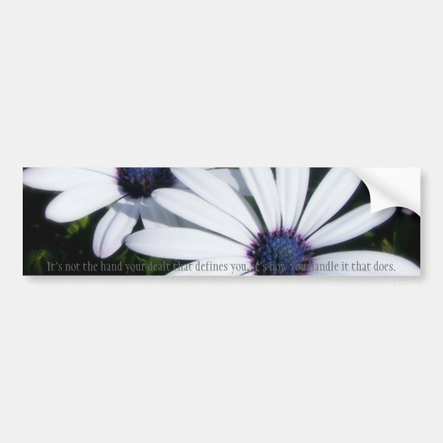 Pretty Petals 5 Bumper Sticker (Front)