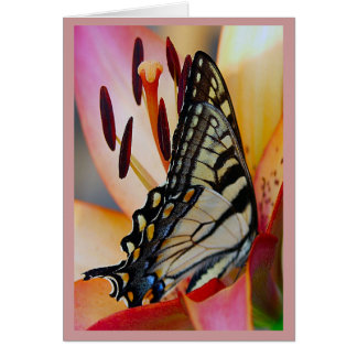 Pretty Petals Cards