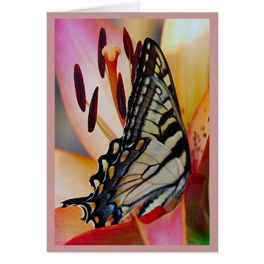 Pretty Petals Cards (Front)