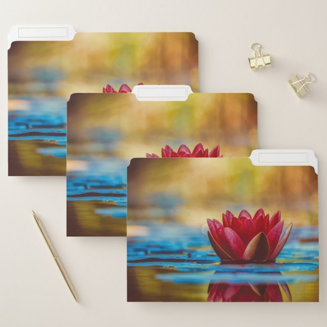 Pretty Photo of a Lotus Flower in a Pond File Folder (Set)