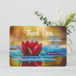 Pretty Photo of a Lotus Flower in a Pond Thank You Card
