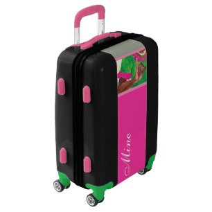 Pretty pink and green luggage