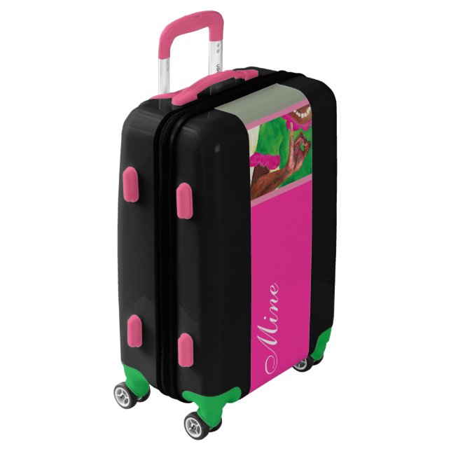 Pretty pink and green luggage (Rotated Left)