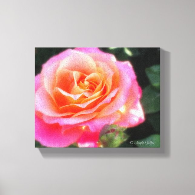 Pretty Pink and Orange Rose Macro Photo Canvas Print (Front)