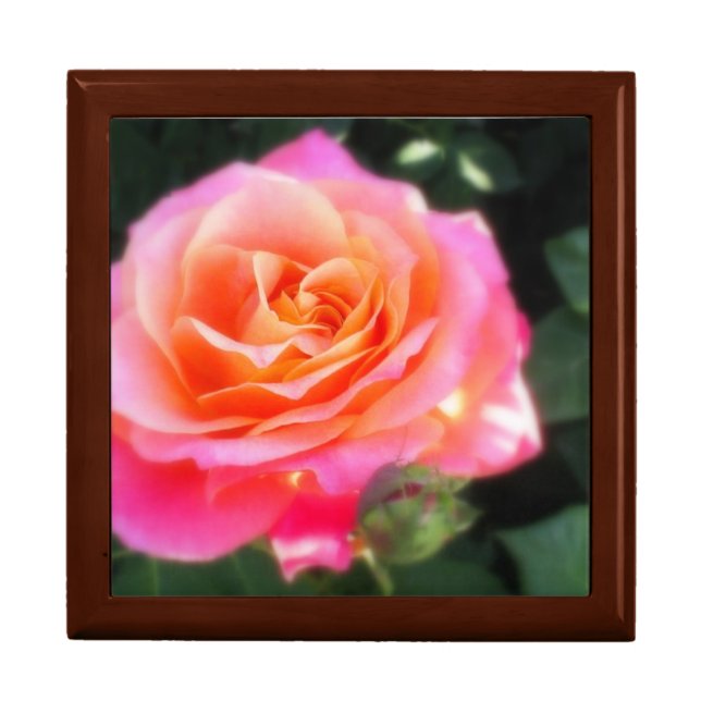 Pretty Pink and Orange Rose Macro Photo Keepsake Box (Front)