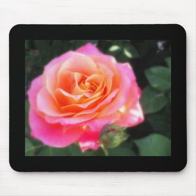 Pretty Pink and Orange Rose Macro Photo Mouse Pad (Front)