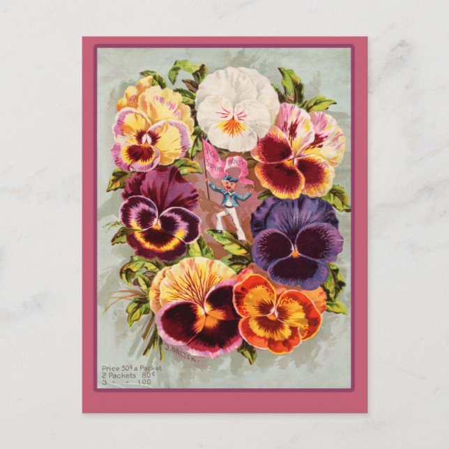 Pretty Pink and Purple Pansies Vintage Art Postcard (Front)