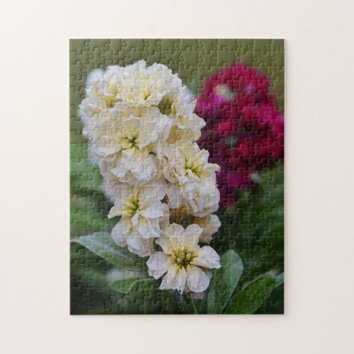 Pretty Pink and White Garden Flowers Puzzle