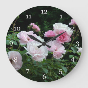 pretty pink and white rose flower bushes. Floral, Large Clock