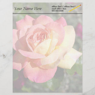 Pretty pink and yellow rose flower, custom letterhead