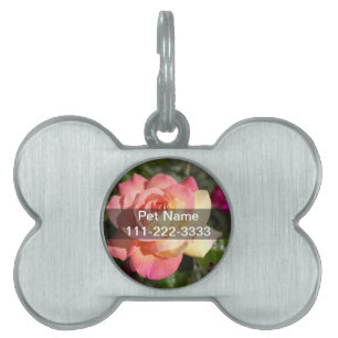 Pretty  pink and yellow rose flower.  Floral Pet ID Tag