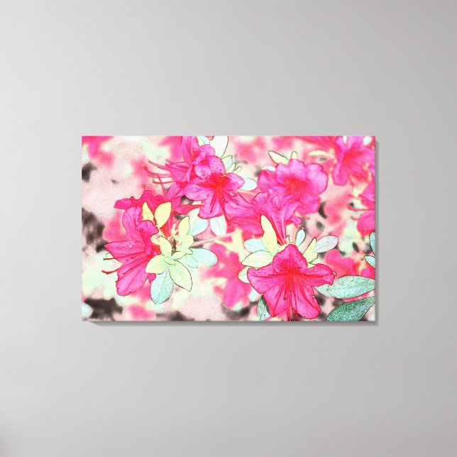 pretty pink azalea flowers canvas print (Front)