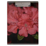 Pretty Pink Azaleas Clipboard