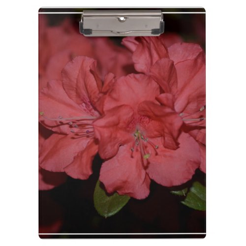 Pretty Pink Azaleas Clipboard