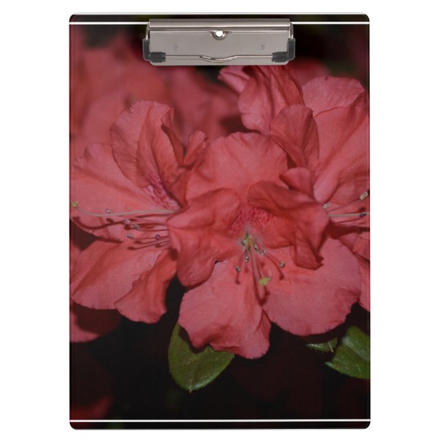 Pretty Pink Azaleas Clipboard (Front)