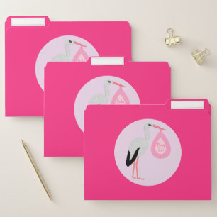 Pretty Pink Baby Girl Stork File Folder