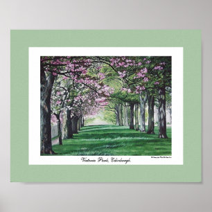 Pretty pink blossom Edinburgh scenery fine art Poster