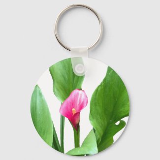 Pretty Pink Calla Lily