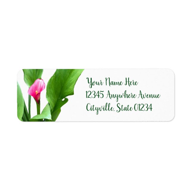 Pretty Pink Calla Lily Label (Front)