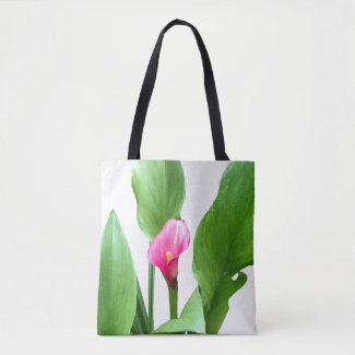 Pretty Pink Calla Lily
