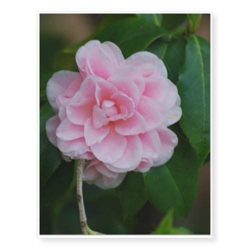 Pretty Pink Camelia Temporary Tattoos