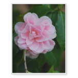 Pretty Pink Camelia Temporary Tattoos