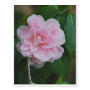 Pretty Pink Camelia Temporary Tattoos