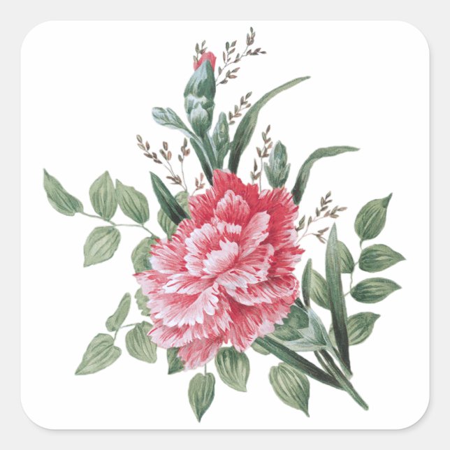 Pretty Pink Carnation Square Sticker (Front)