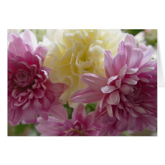 Pretty Pink Carnations Happy Birthday Mom Card (Front Horizontal)