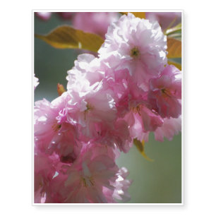 Pretty Pink Cherry Blossoms Temporary Tattoos