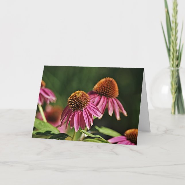 Pretty Pink Coneflower Garden Art Note Card (Front)