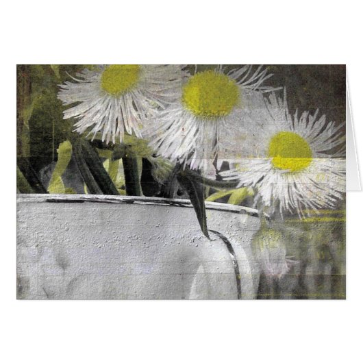 Pretty Pink Daisy-Like Flowers in a Teacup Cards (Front Horizontal)