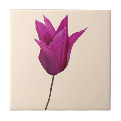 Pretty pink Dutch tulip floral boho cute girly fun Ceramic Tile