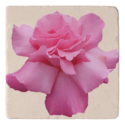 Pretty pink English rose trendy boho floral girly Trivet