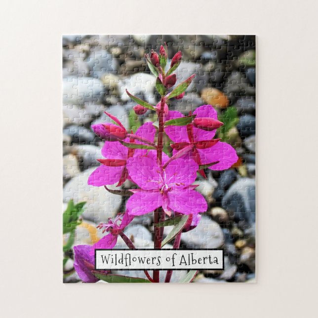 Pretty Pink Fireweed Wildflowers Bloom in Canada Jigsaw Puzzle (Vertical)