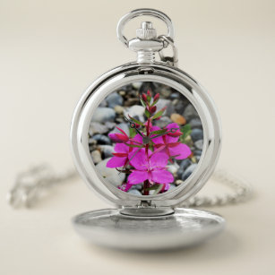 Pretty Pink Fireweed Wildflowers Bloom in Canada Pocket Watch