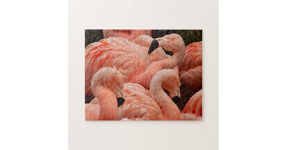 Pretty pink flamingo print puzzle | Zazzle