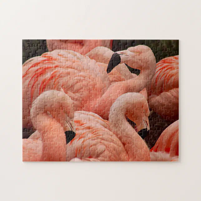 Pretty pink flamingo print puzzle | Zazzle