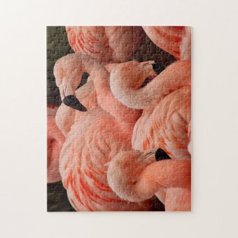Pretty pink flamingo print puzzle | Zazzle