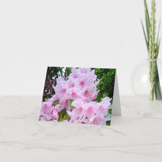 Pretty Pink Flower Birthday Greetings Card (Front)