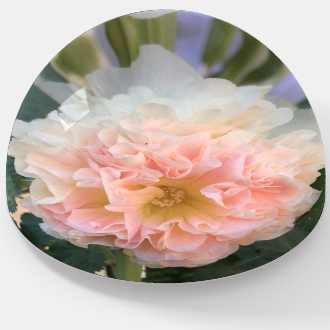 Pretty Pink Flower Glass Paperweight Gift for Her (Creator Uploaded)