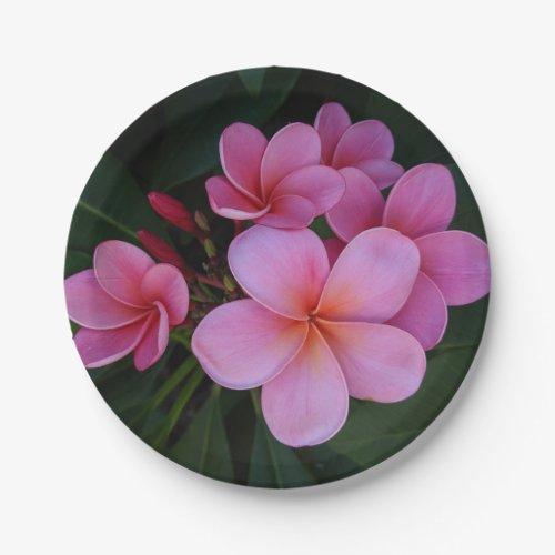 Pretty pink flower photo paper plates