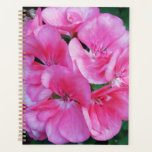 Pretty pink flower. planner<br><div class="desc">Taken in my neighbours garden.</div>