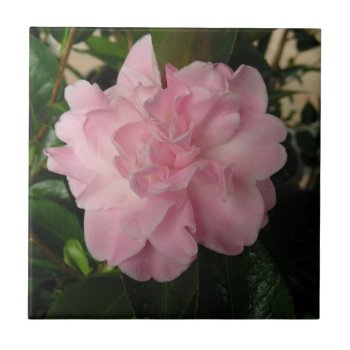 Pretty Pink Flower Tile by zzl_157558655514628 at Zazzle