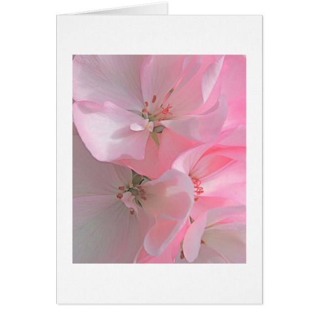 Pretty Pink Flowers Blank Note Cards (Front)