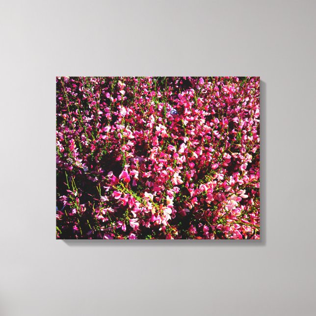 Pretty Pink Flowers Canvas Print (Front)