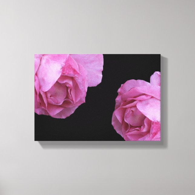 Pretty pink French rose floral black fine art     Canvas Print (Front)