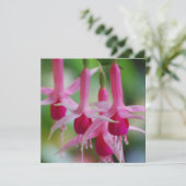 Pretty Pink Fuchsia Flowers (Standing Front)